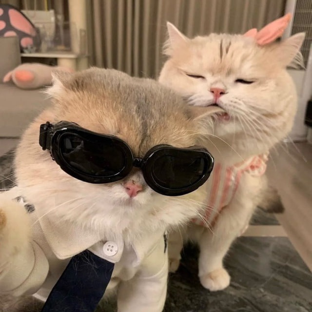 MAHJONGSLOT # Link Situs Slot Gacor Mahjong Ways Terbaru Gampang Menang Scatter Hitam